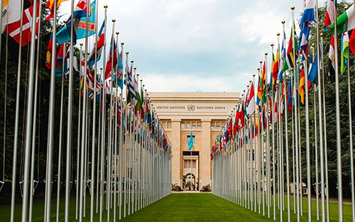 Avenue of flagpoles with flags of many countries leading to a building marked “United Nations Nations Unies”