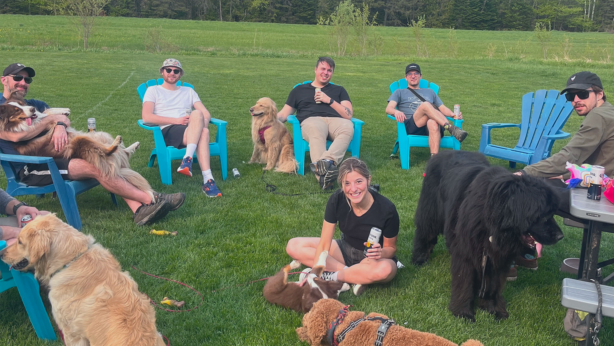 5 idées originales d’activité de team building !