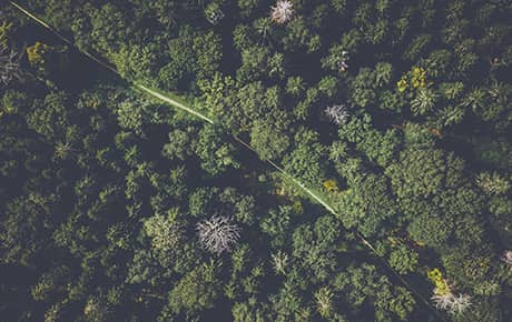 L'intelligence artificielle, c'est bon pour la planète!